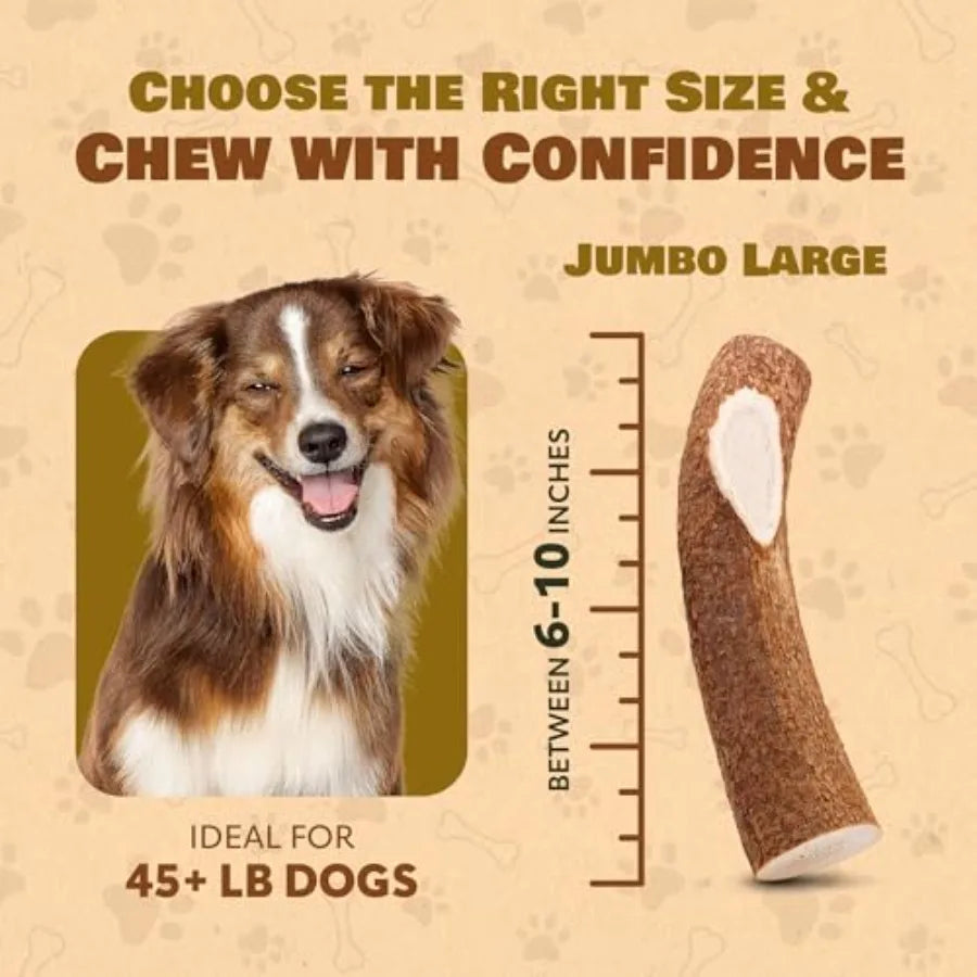 YAO HUI HUANG Elk Antler Chews Aggressive Chewers Natural