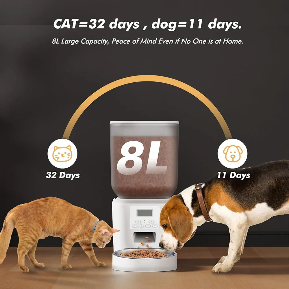 Nityers Automatic Cat Feeder With Timed Dispenser And Key Control