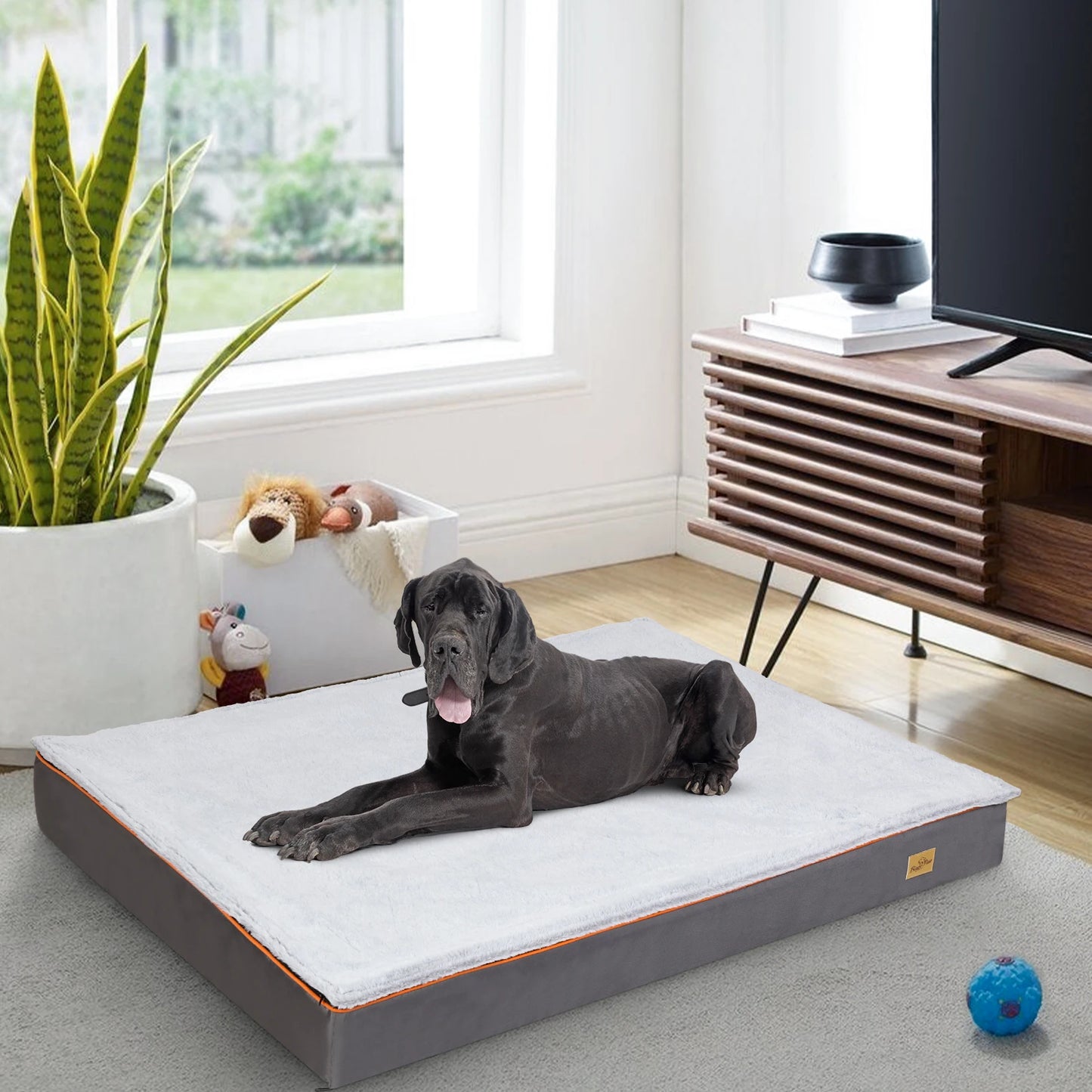 Bingopaw Padded Orthopedic Dog Bed With Removable Washable Cover