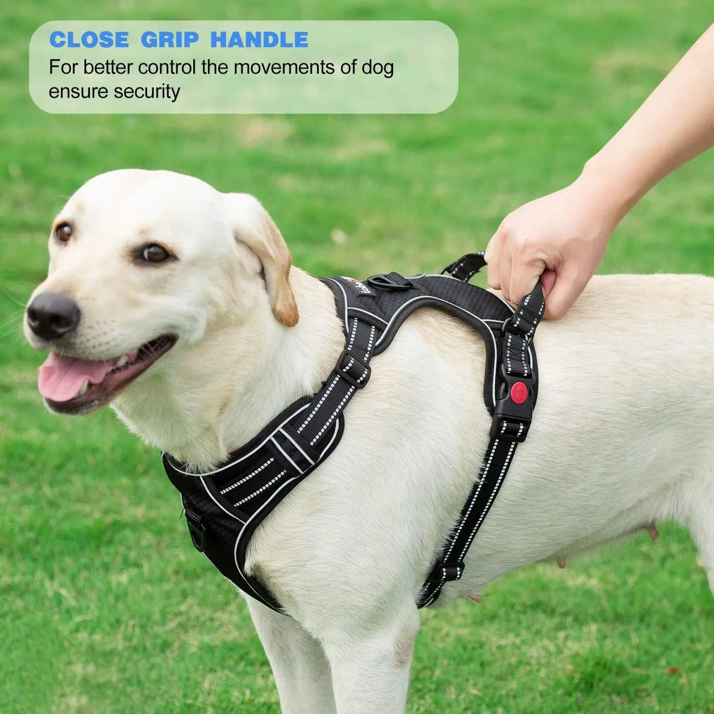 No Pull Reflective Dog Harness With Front And Back Rings