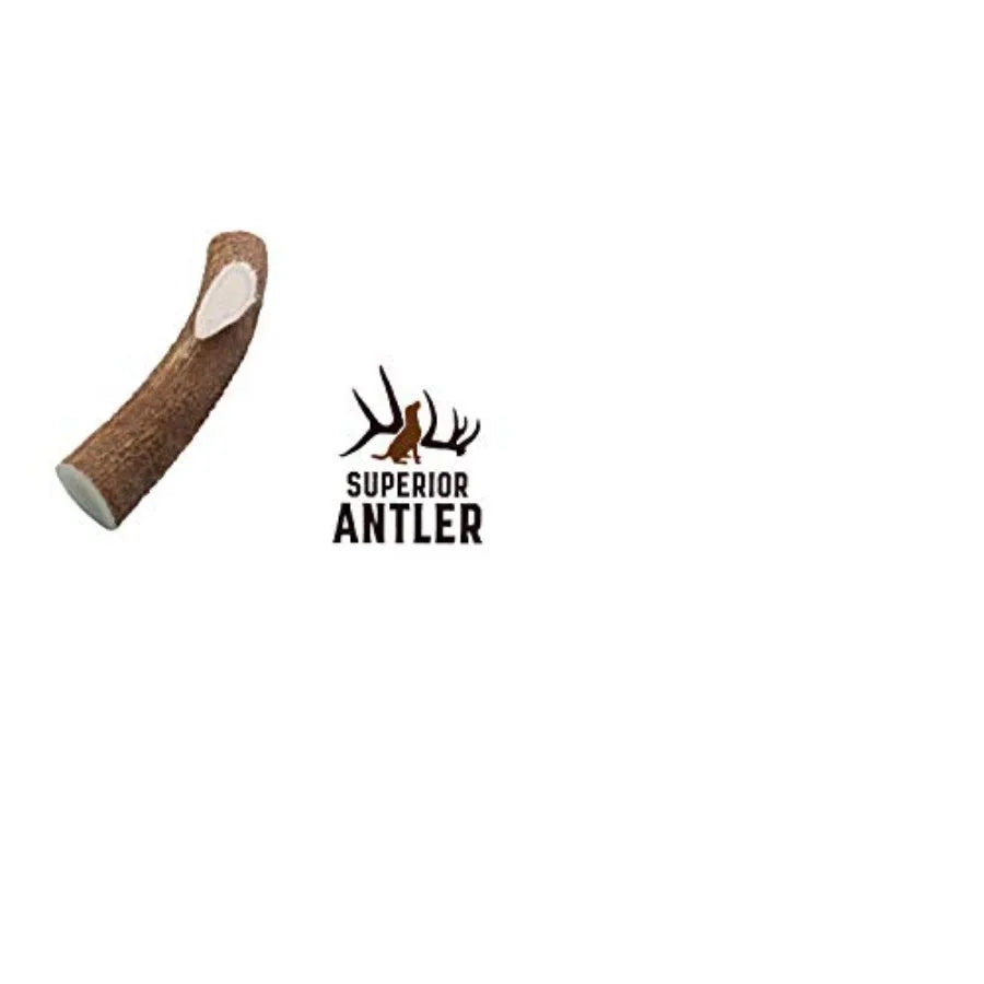 YAO HUI HUANG Elk Antler Chews Aggressive Chewers Natural