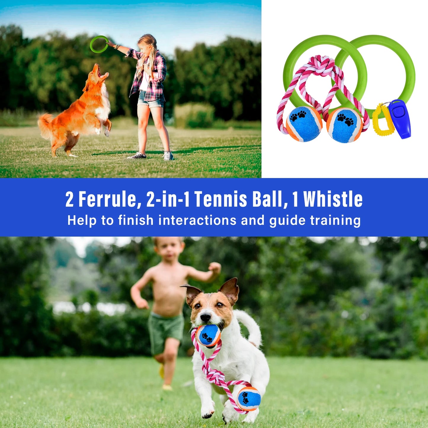Dog Agility Course Backyard Set Training Kit With Tunnels Hoops