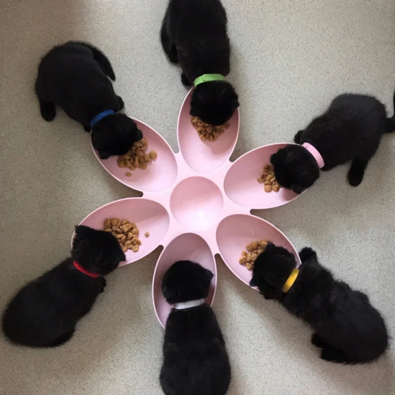 Durable Petal Shaped 6-In-1 Feeding Bowl for Dogs and Cats