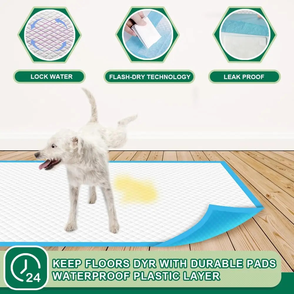 Super Absorbent Dog Training Pads 50 Count Leak Proof