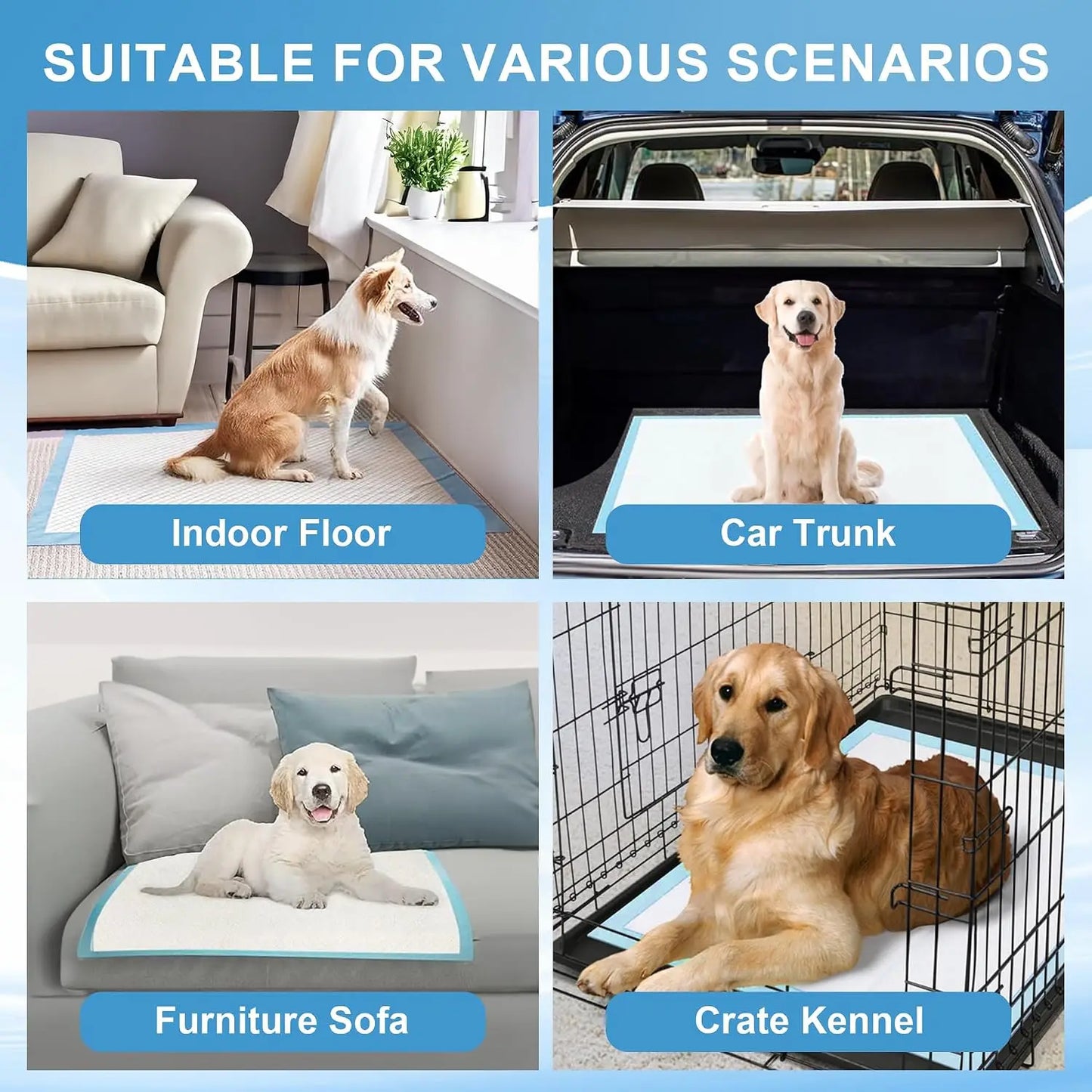 Dog Pee Pads 40 Count Super Absorbent Leak Proof Potty Pads