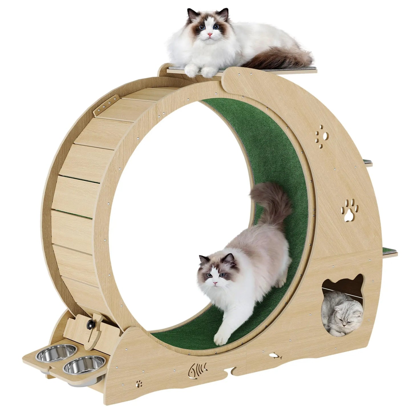 HiMISS 6 in 1 Cat Exercise Wheel Treadmill Bowls Pro