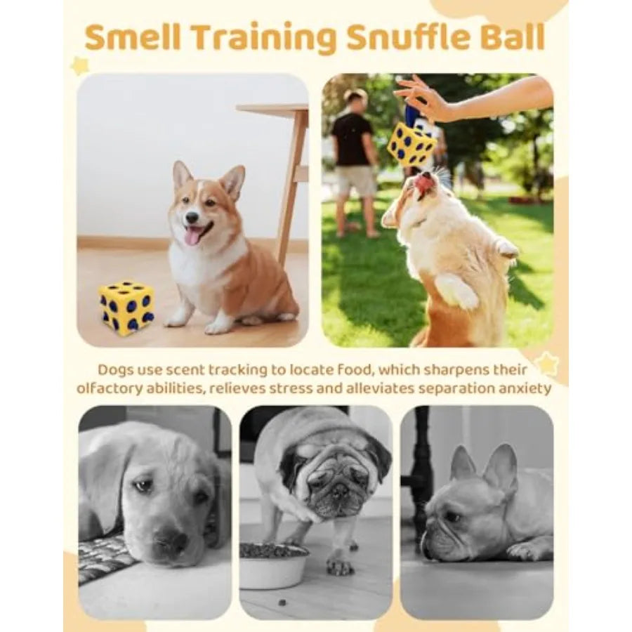 Yao Hui Huang Interactive Puzzle Dog Toy Snuffle Cube Foraging