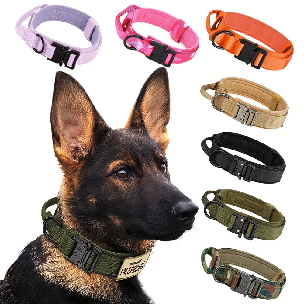 Adjustable Nylon Dog Collar And Leash Set With Control Handle
