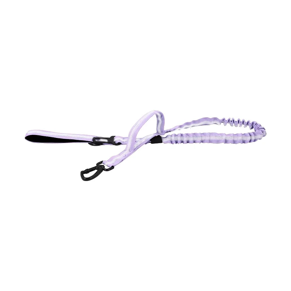 Nylon Adjustable Military Dog Leash With 2 Handles