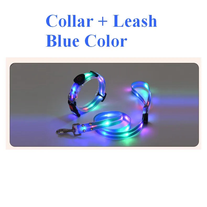 Petguider USB Rechargeable LED Pet Leash With Webbing