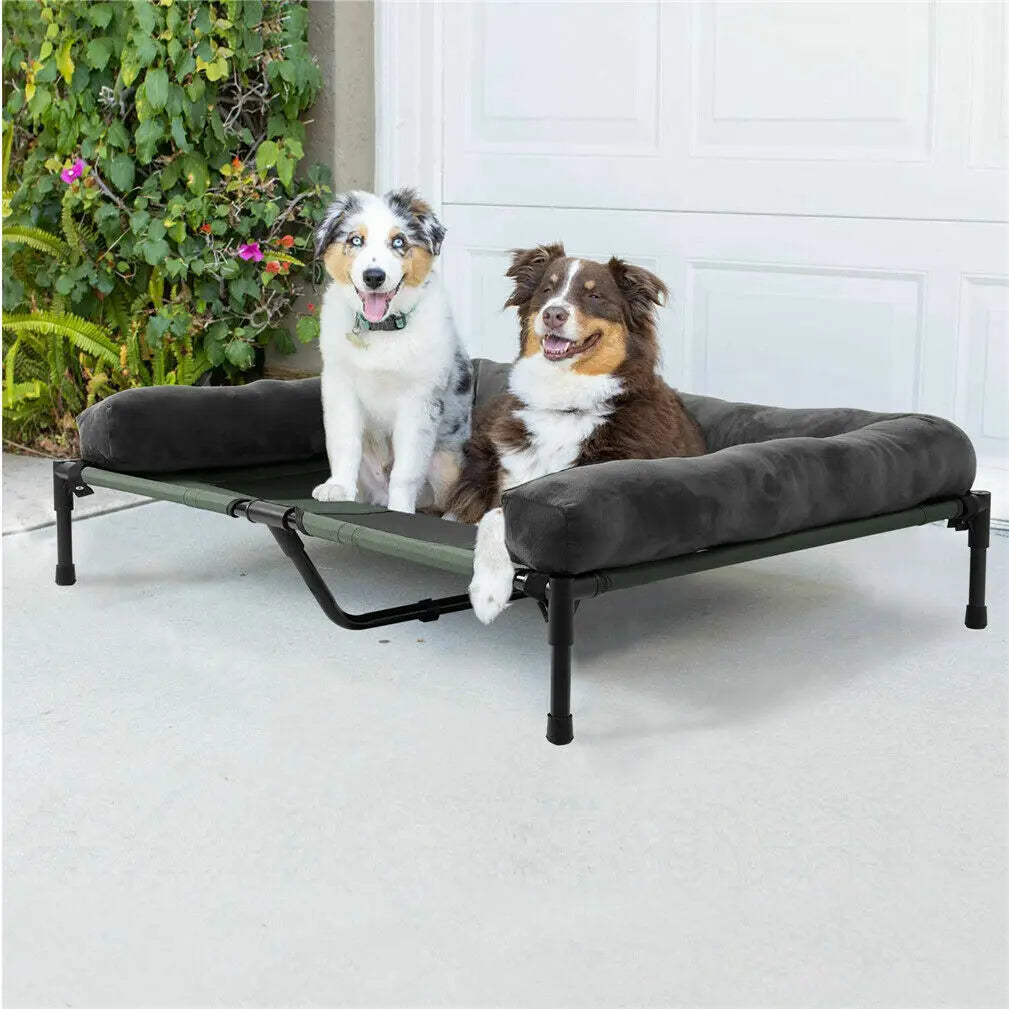 BINGOPAW Elevated Pet Lounger Bed for Dogs and Cats