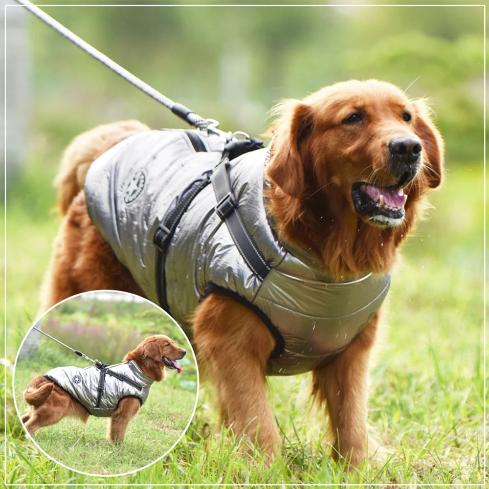 CDDMPET Winter Warm Pet Dog Jacket With Harness Waterproof Coat