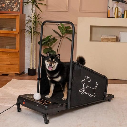 Dog Treadmill For Medium Dogs With Auto Incline And Shock