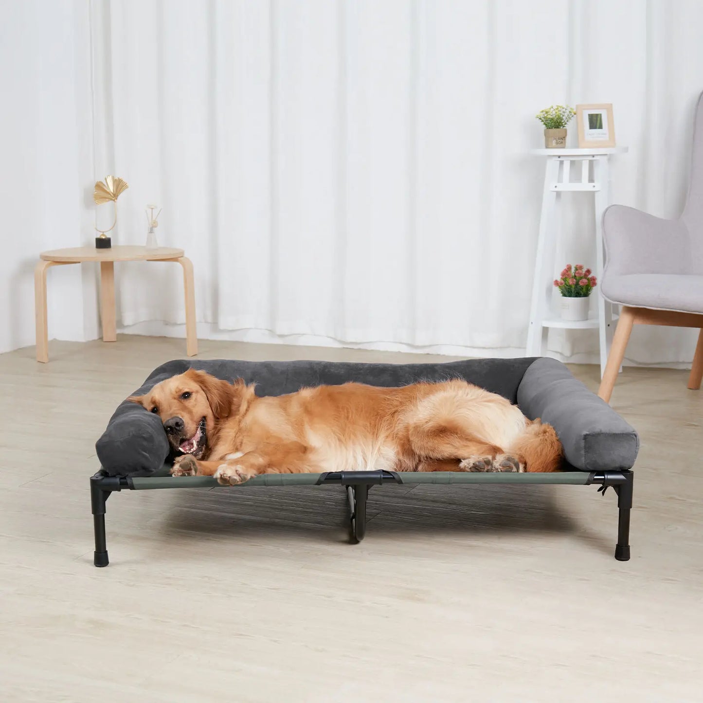 BINGOPAW Elevated Pet Lounger Bed for Dogs and Cats