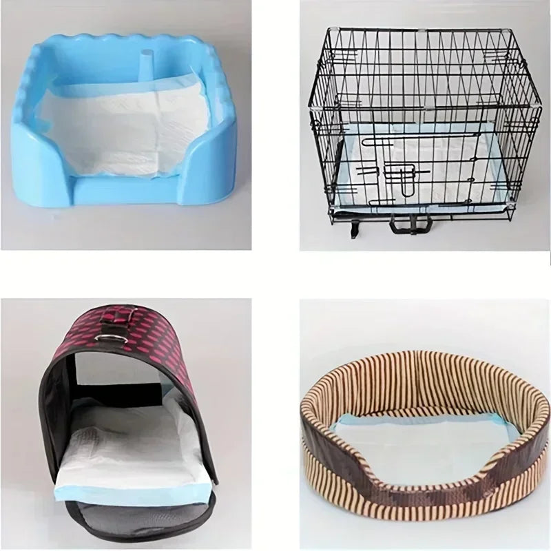 Disposable Dog Diapers And Training Pads Odor Control