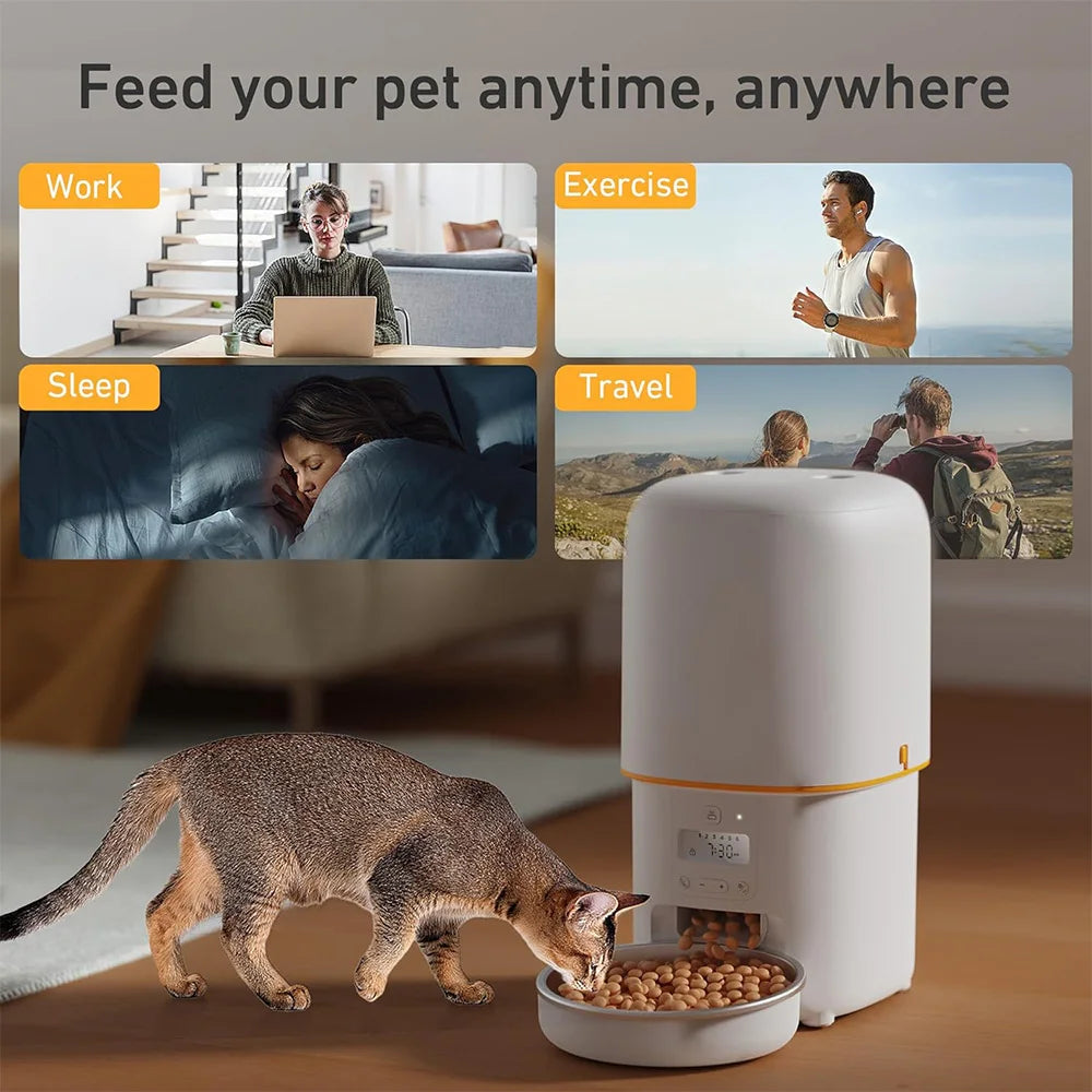 Nityers 4 L Automatic Cat Feeder With Stainless Steel Bowl