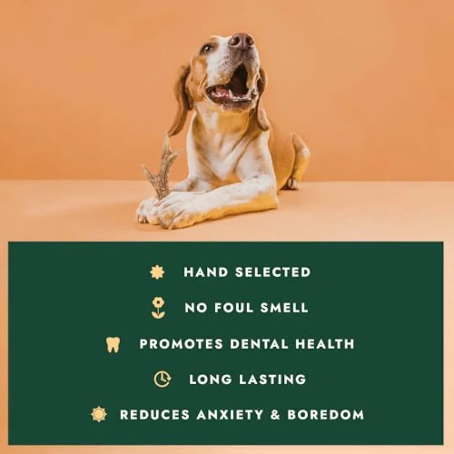 Yao Hui Huang Natural Deer Antler Chews For Aggressive Dogs