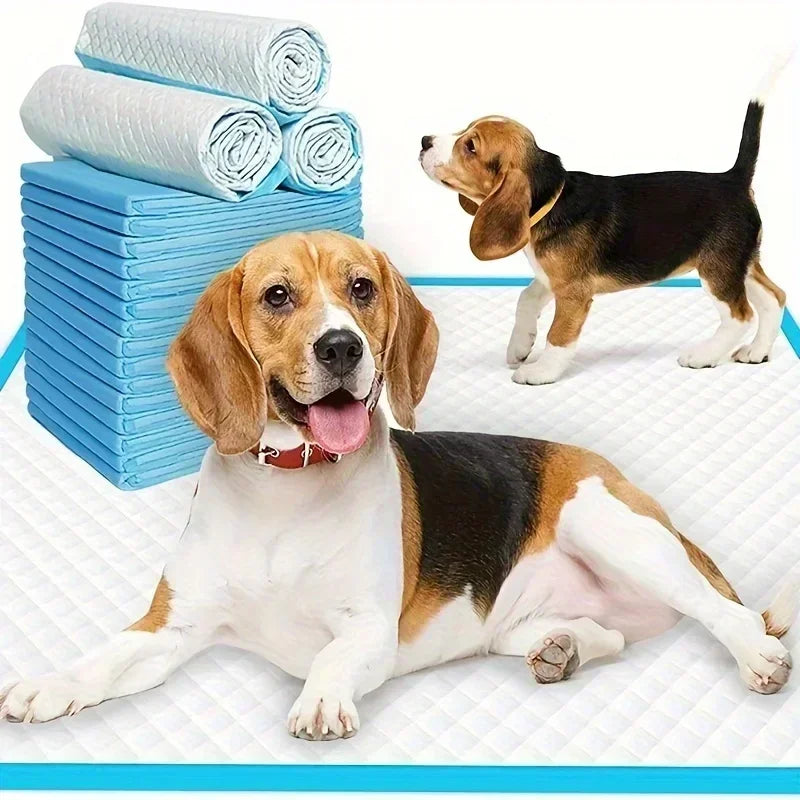 Disposable Dog Diapers And Training Pads Odor Control