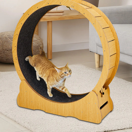 Indoor Cat Treadmill Exerciser Wheel Toy For Active Cats