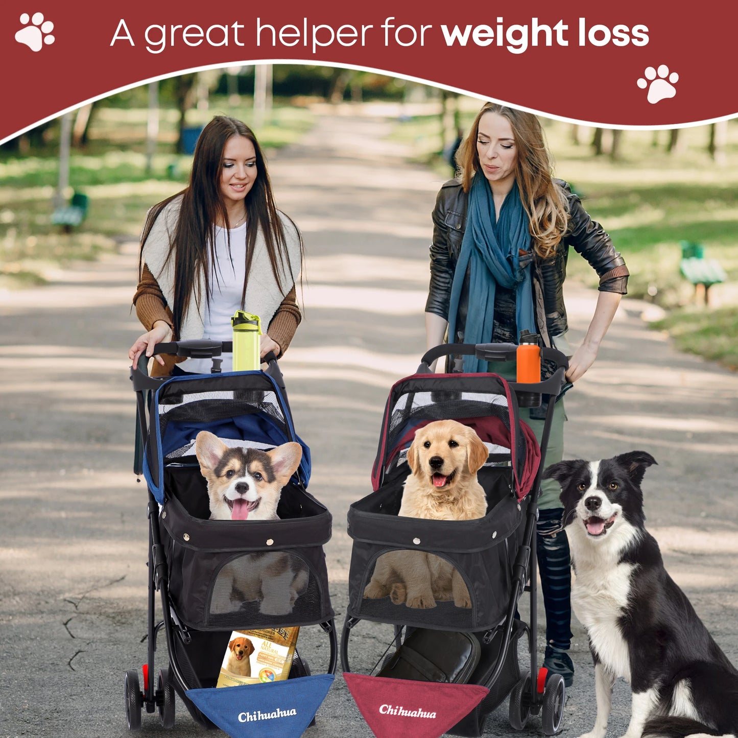 CHIHUAHUA Pet Stroller For Cats And Dogs 3 Wheel Foldable Mesh Canopy