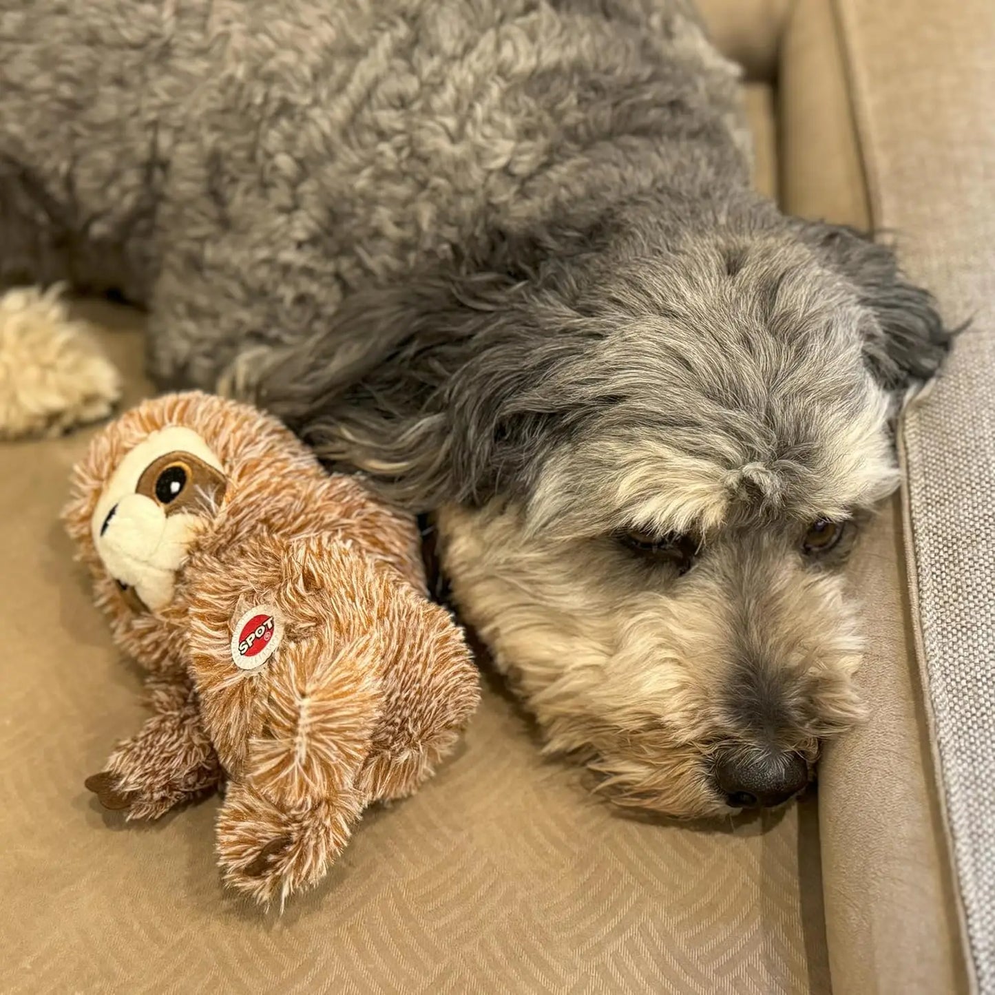 Sloth Dog Toy Squeaky Plush for Small Dogs