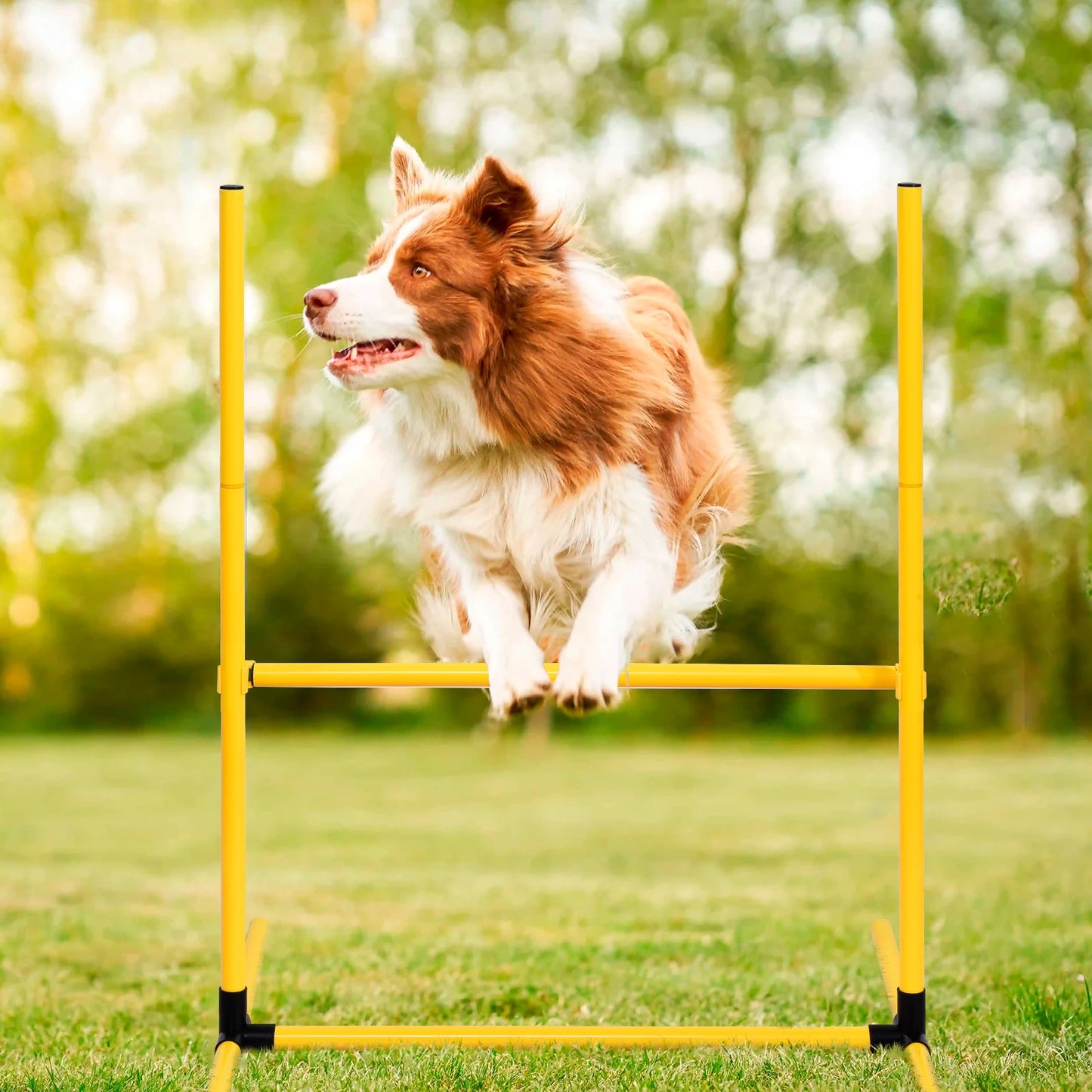 Dog Agility Course Backyard Set Training Kit With Tunnels Hoops