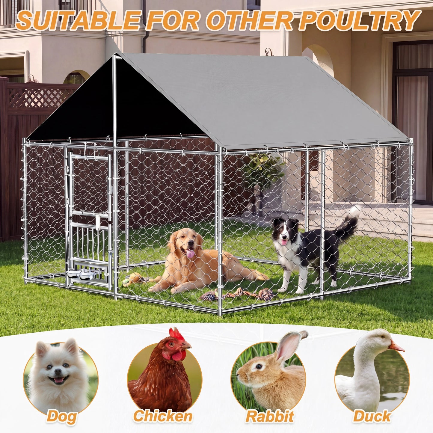 Heavy Duty Large Outdoor Dog Kennel With Dual Opening Doors