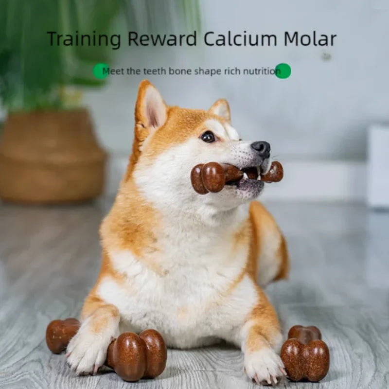 Natural Non Toxic Dog Bone Chew Toy Indestructible Anti Bite