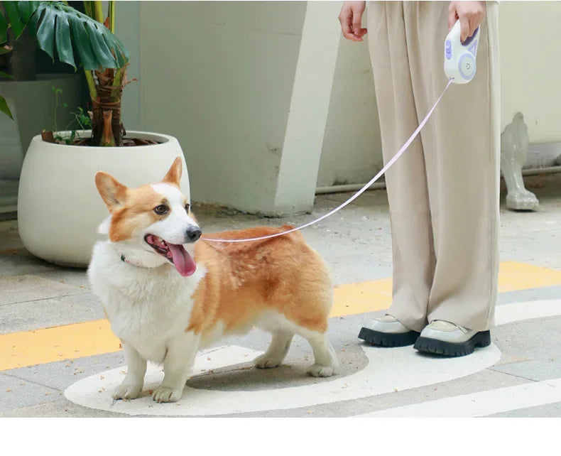 Lighted Retractable Dog Leash With Quick Release