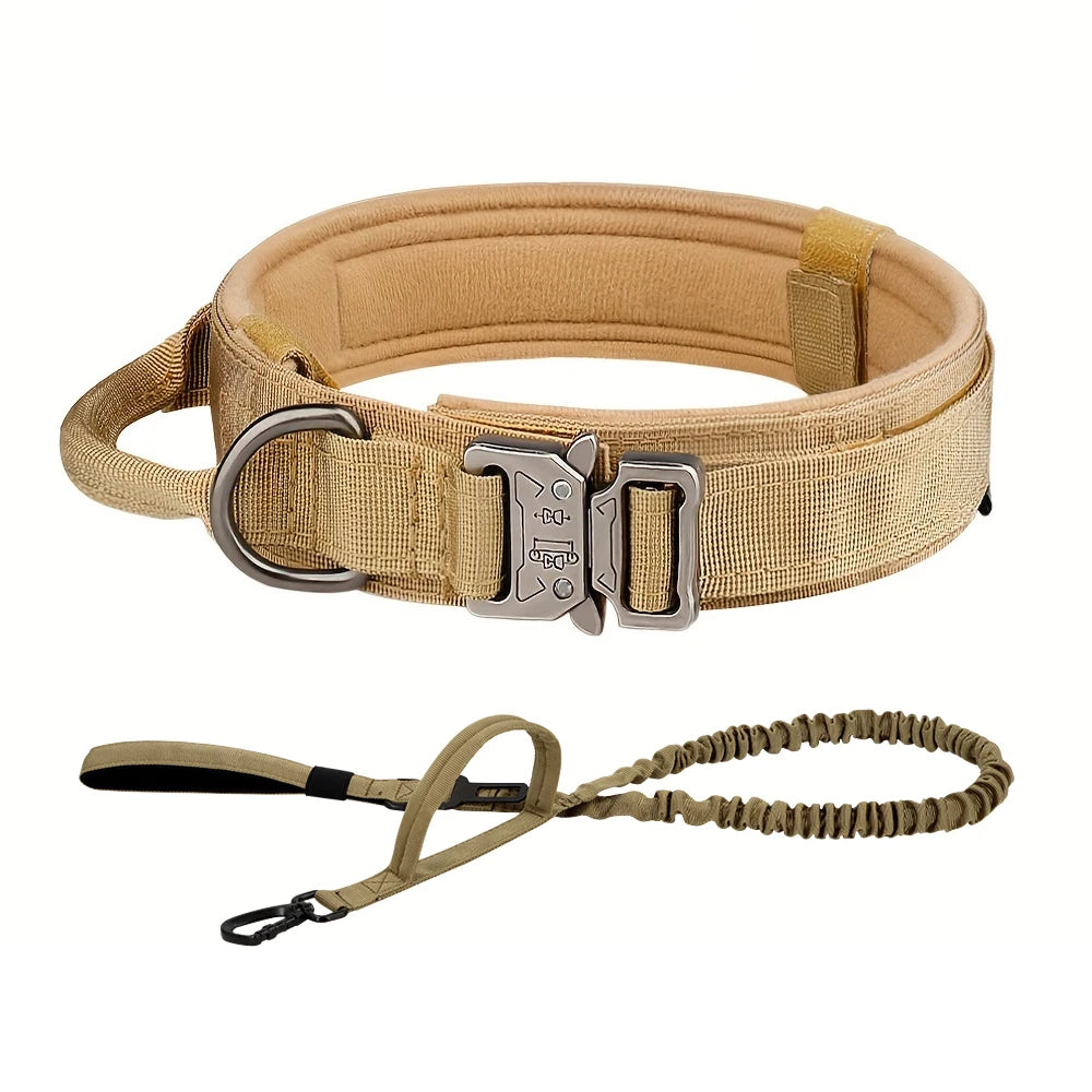 PETRAVEL Dog Training Collar Adjustable Tactical Collar and Leash Set