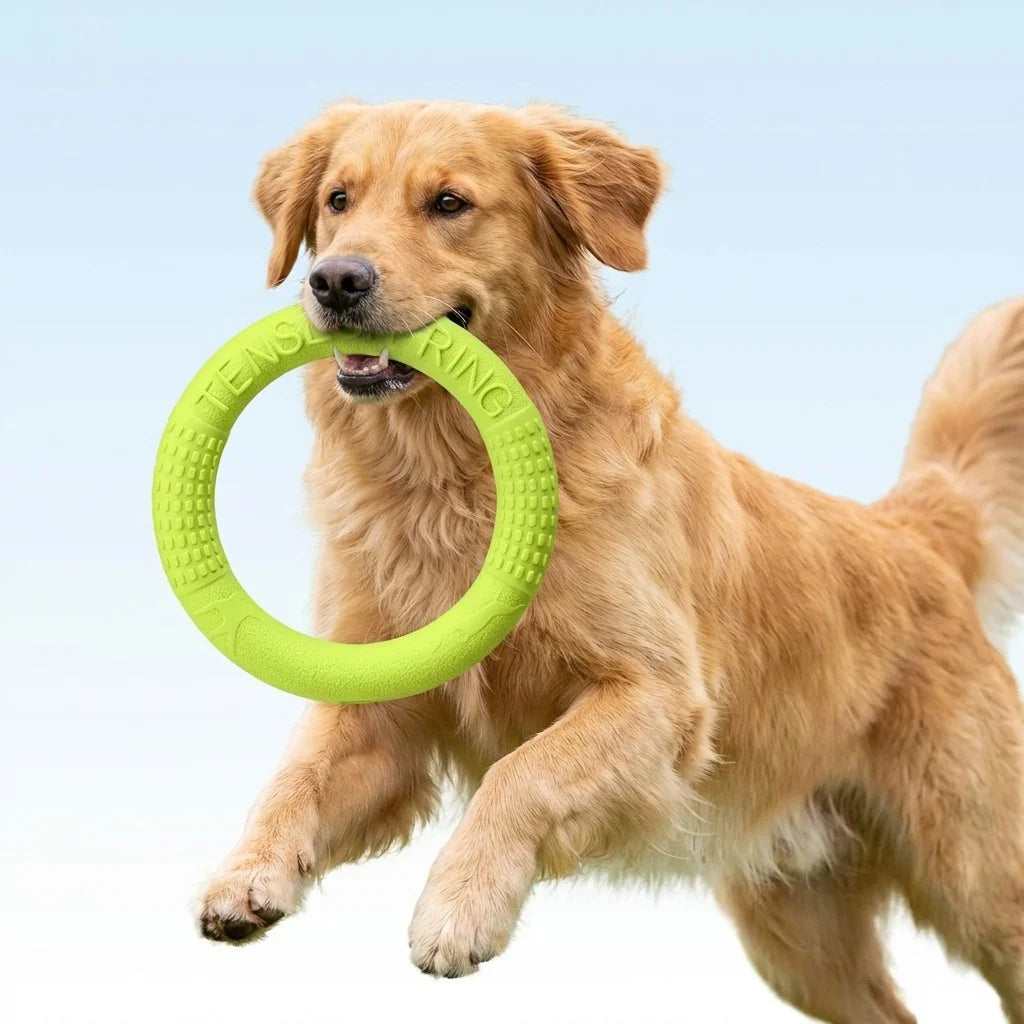 Tenzongret Floating Water Flying Disk Dog Chew Toy
