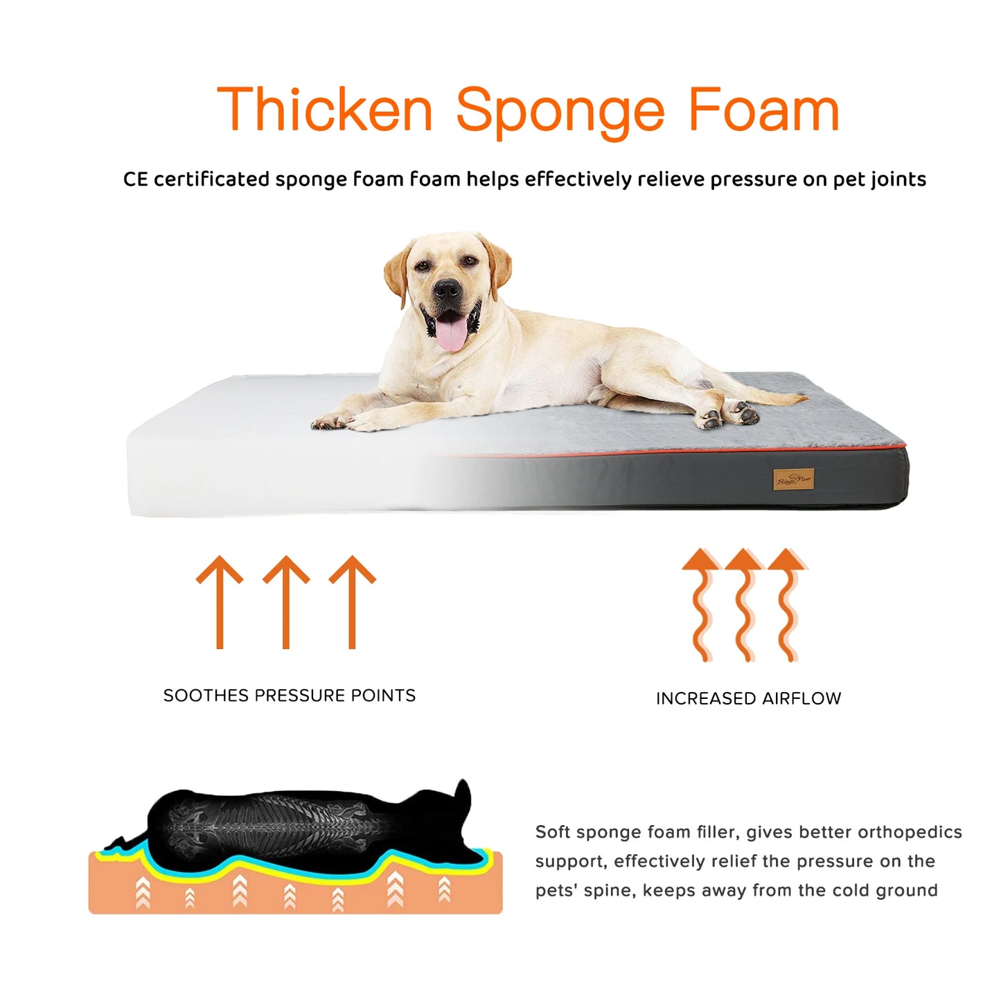 Bingopaw Large Orthopedic Dog Bed With Washable Cover