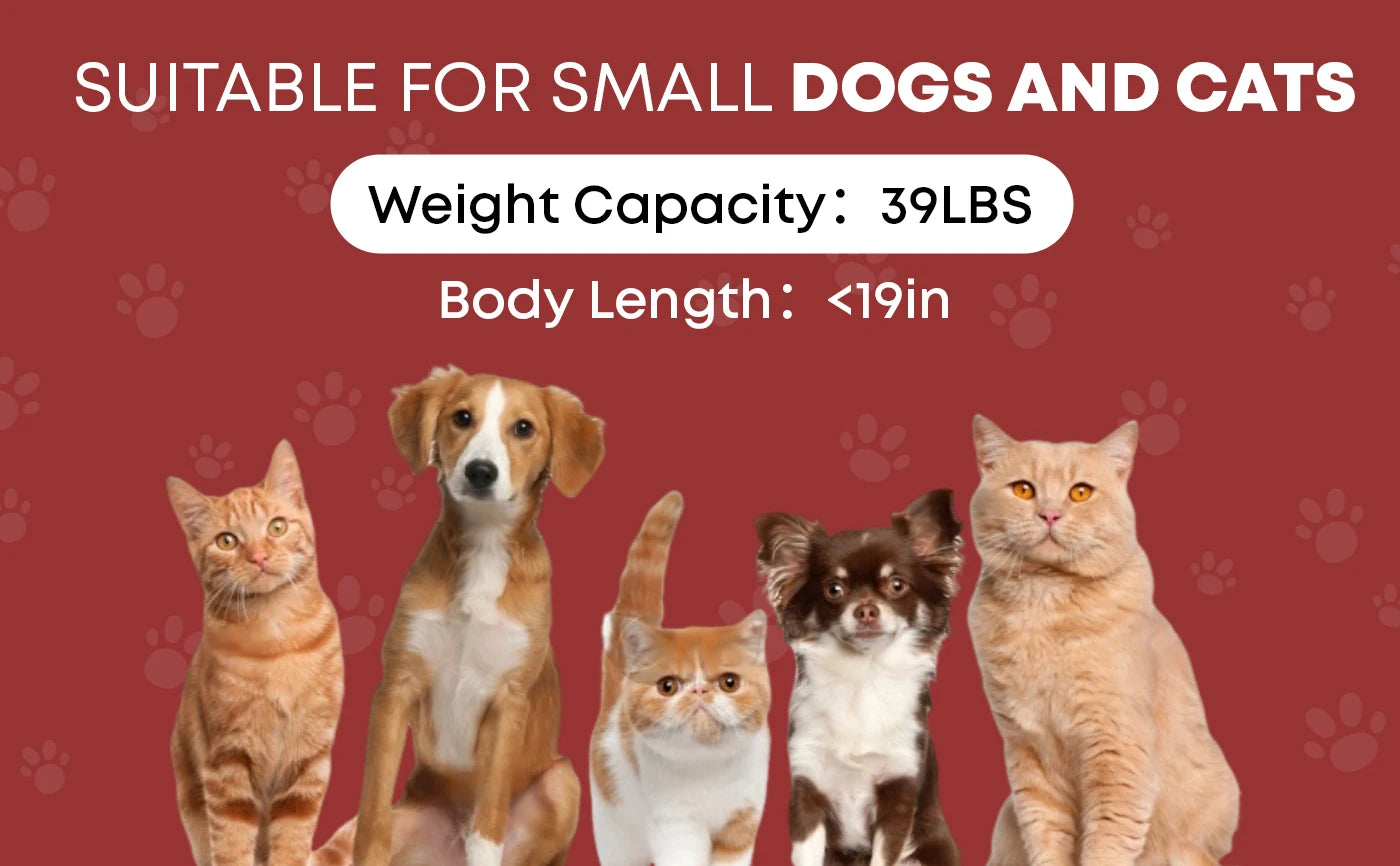 CHIHUAHUA Pet Stroller For Cats And Dogs 3 Wheel Foldable Mesh Canopy