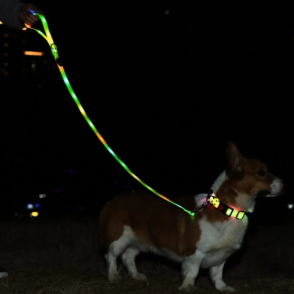 Petguider USB Rechargeable LED Pet Leash With Webbing