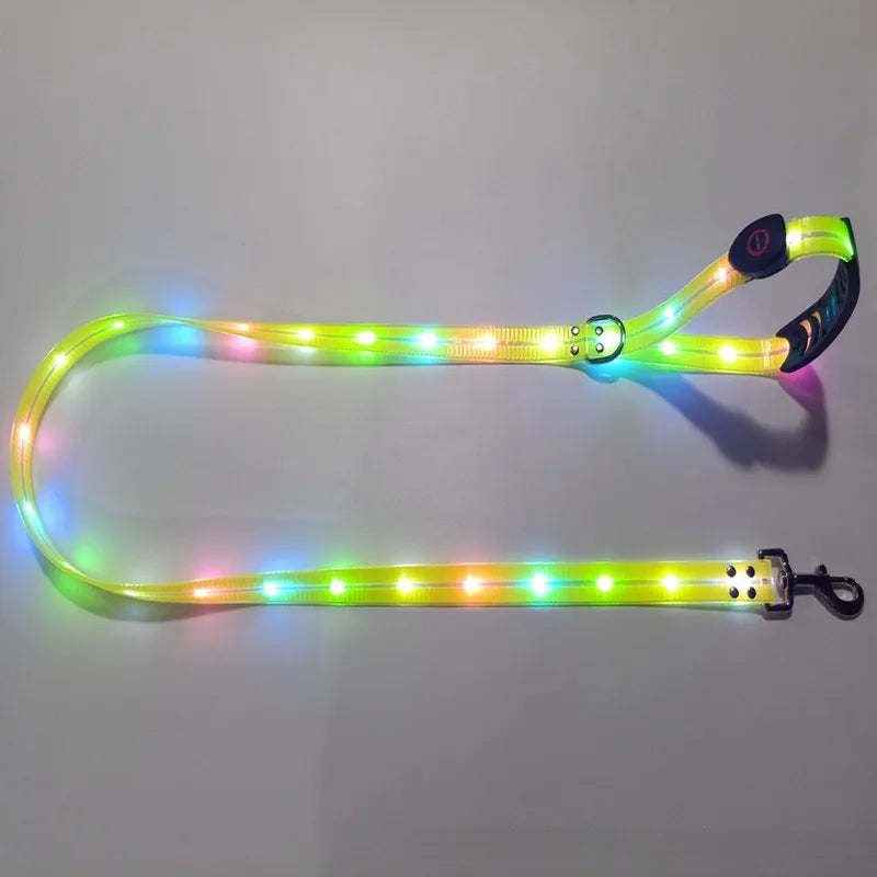 Petguider USB Rechargeable LED Pet Leash With Webbing