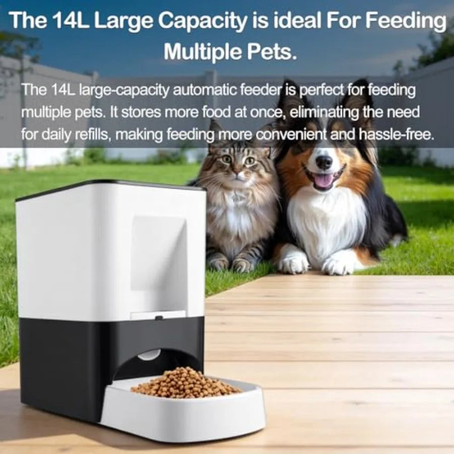 Large Automatic Dog Feeder for Breeds with Voice Recording