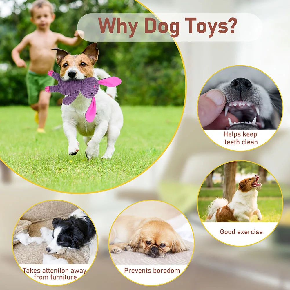 5 Pack Plush Squeaky Dog Toys Variety Bundle