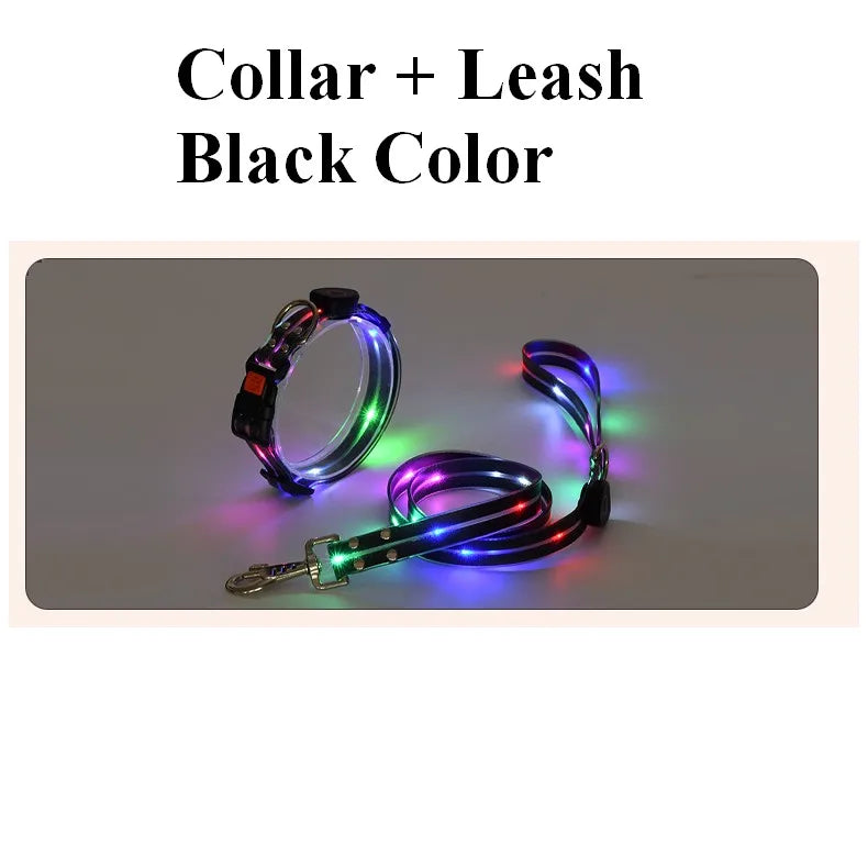 Petguider USB Rechargeable LED Pet Leash With Webbing
