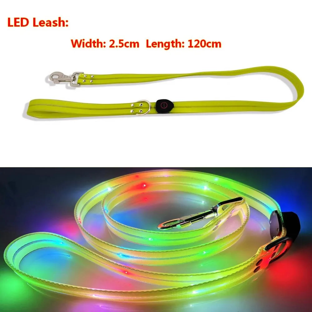 Petguider USB Rechargeable LED Pet Leash With Webbing