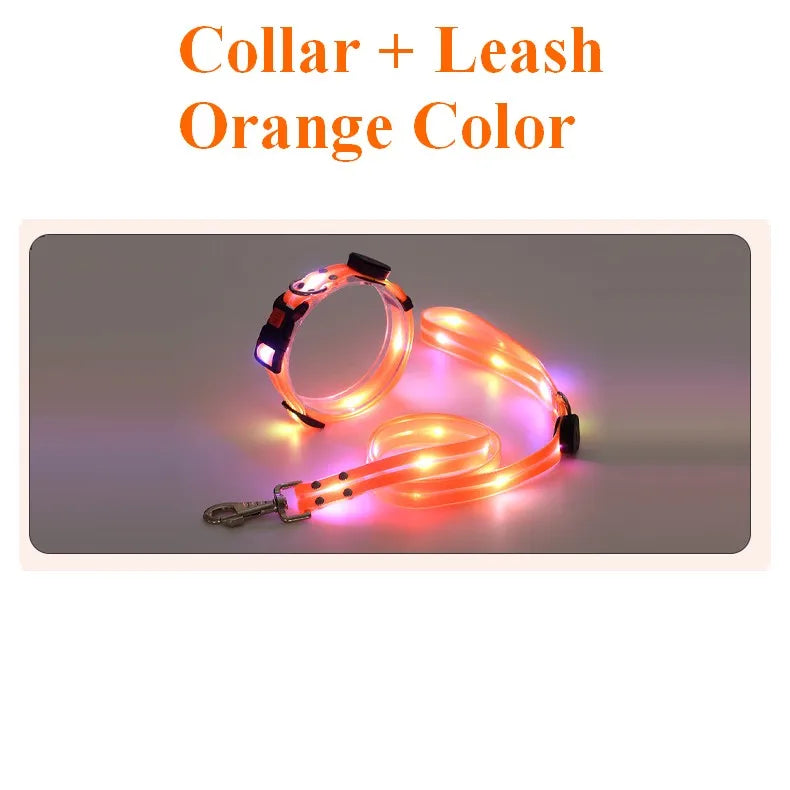 Petguider USB Rechargeable LED Pet Leash With Webbing