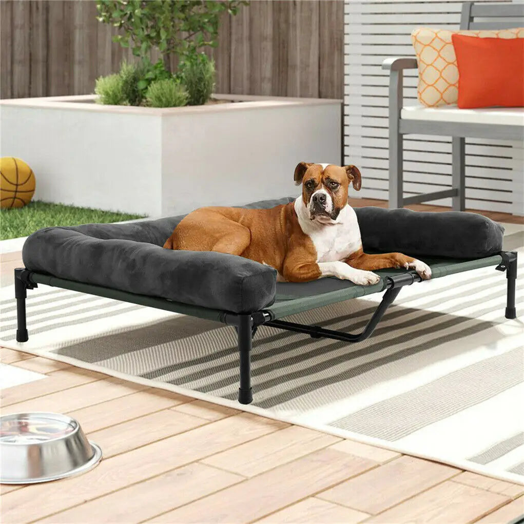 BINGOPAW Elevated Pet Lounger Bed for Dogs and Cats