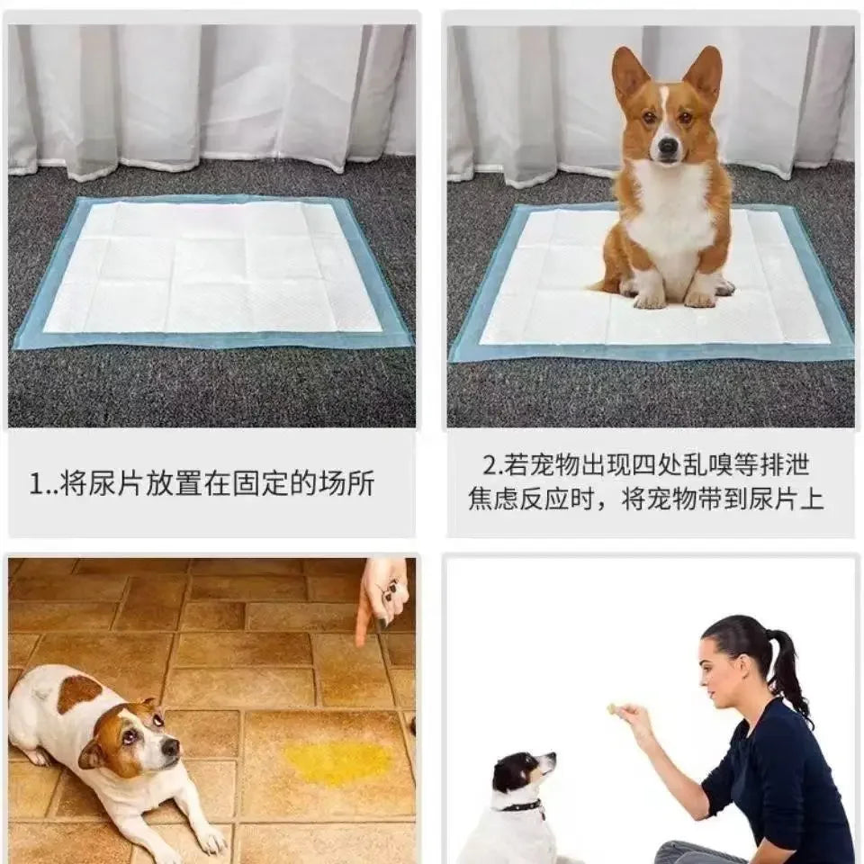 Disposable Puppy Training Pads Absorbent Quick Dry Surface Mat For Dogs