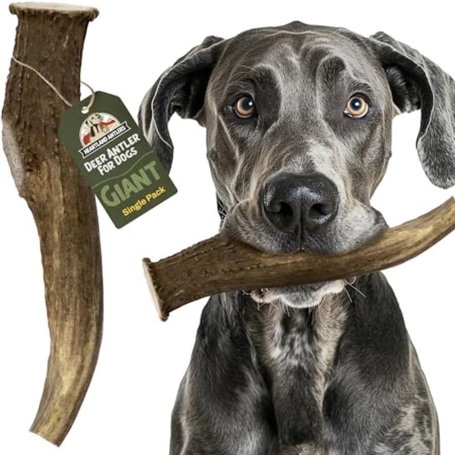 YAO HUI HUANG Deer Antlers Dog Chews For Aggressive Chewers