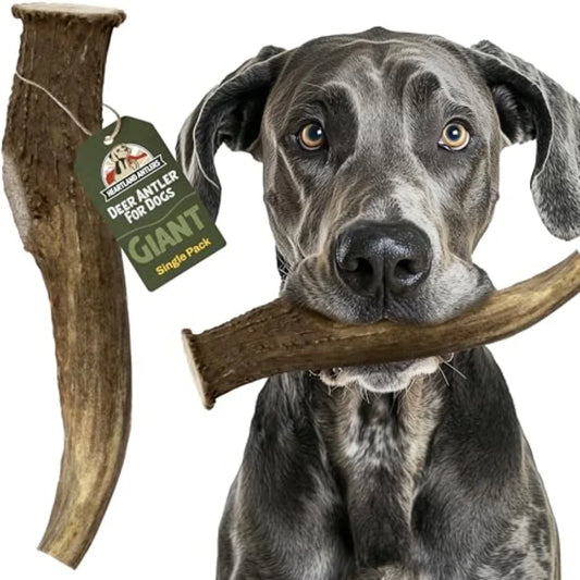 YAO HUI HUANG Deer Antlers Dog Chews For Aggressive Chewers