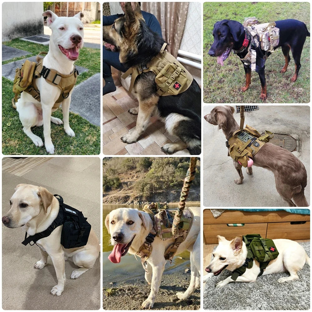 Military Nylon Dog Harness Vest With Leash Patches Training Set