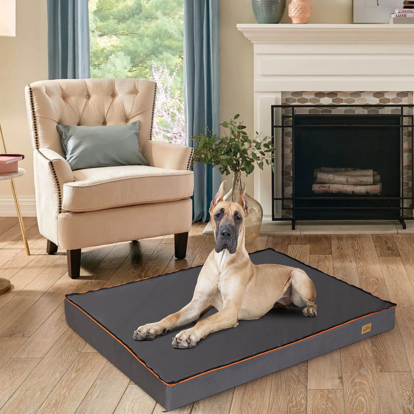 Bingopaw Large Orthopedic Dog Bed With Washable Cover