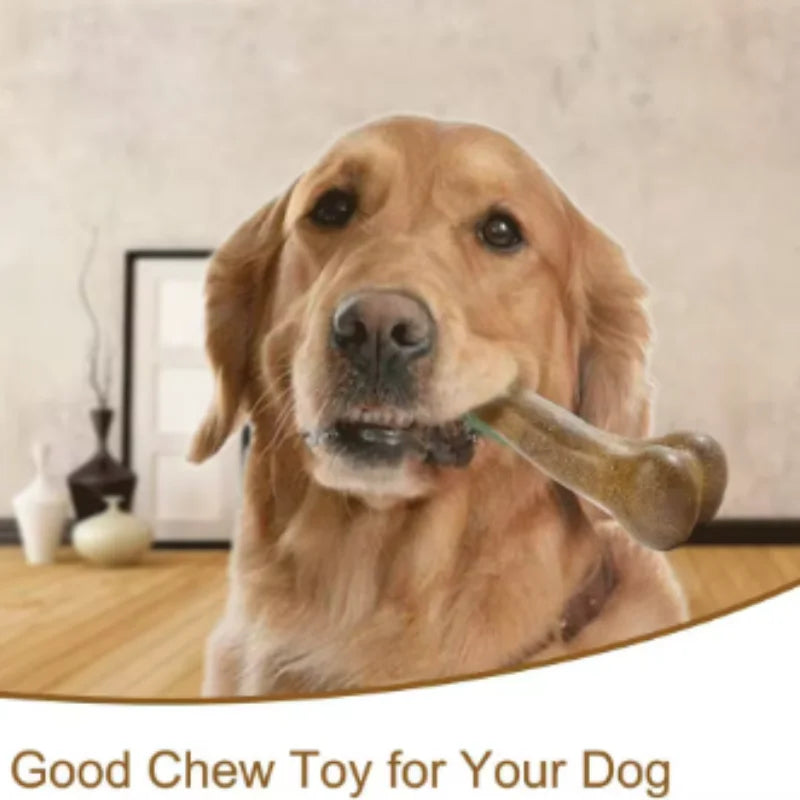 Natural Non Toxic Dog Bone Chew Toy Indestructible Anti Bite