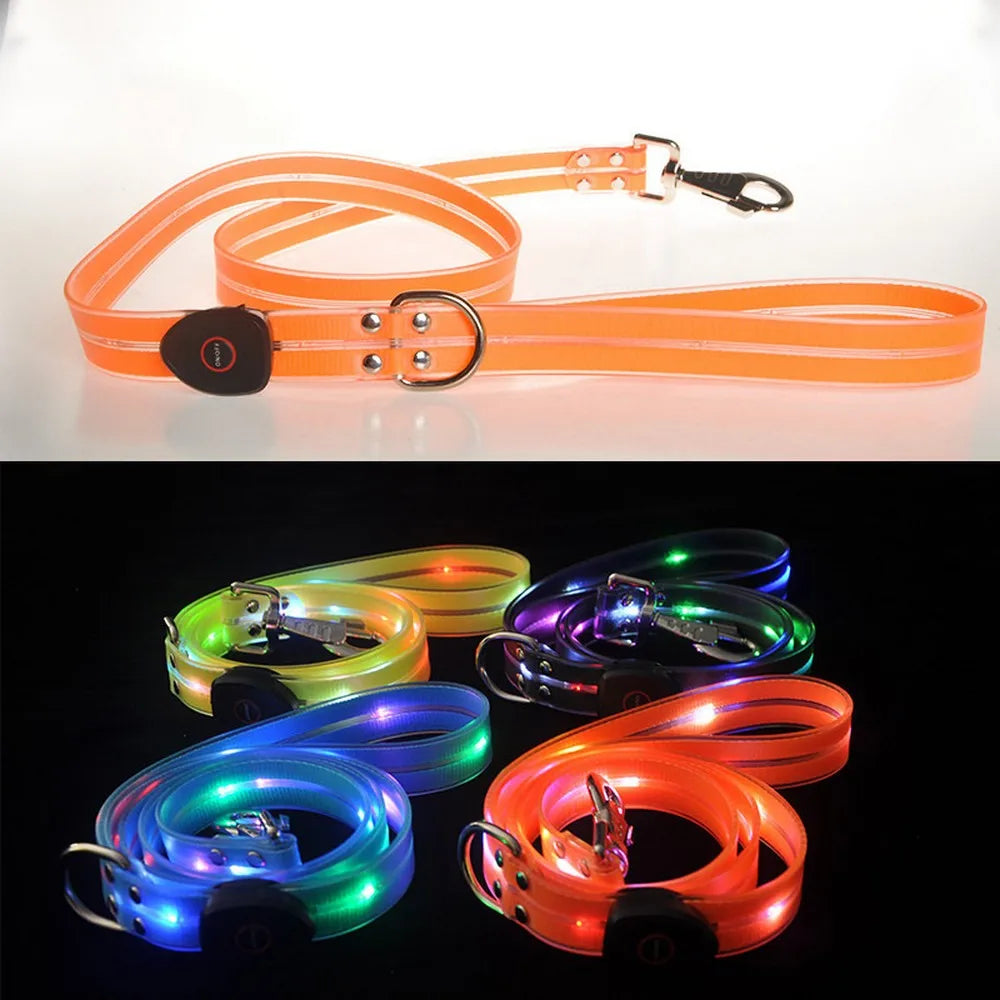 Petguider USB Rechargeable LED Pet Leash With Webbing