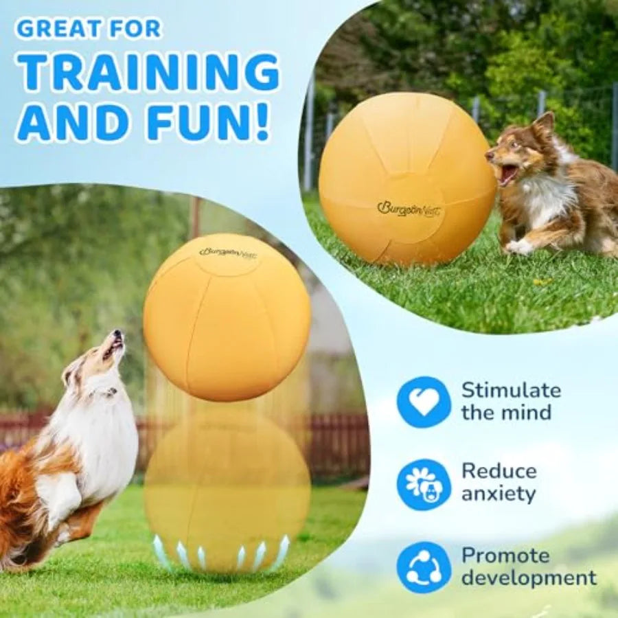 Herding Ball For Dogs Outdoor Interactive Toy Medium Large Breeds