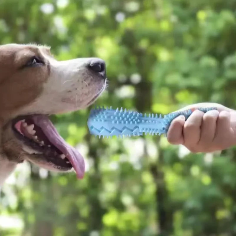Bite Resistant Nylon Dog Teething Chew Toy Stick
